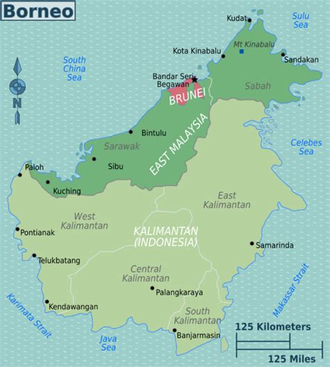 how long in borneo.